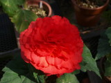 img0017.jpg