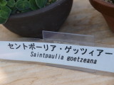 img0019.jpg