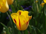 img0023.jpg