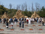 img0025.jpg