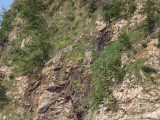 img0095.jpg