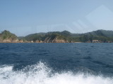 img0101.jpg