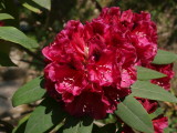 img0004.jpg