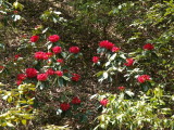 img0013.jpg