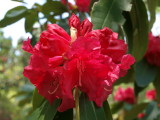 img0015.jpg