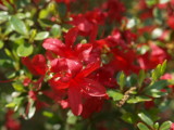 img0017.jpg