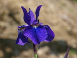img0022.jpg