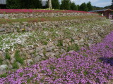 img0028.jpg