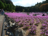 img0030.jpg