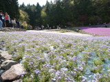img0034.jpg