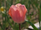 img0039.jpg