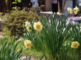 img0040.jpg