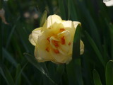 img0041.jpg