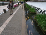 img0034.jpg