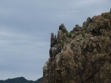 img0011.jpg
