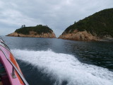 img0016.jpg