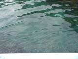 img0038.jpg