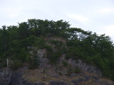 img0051.jpg