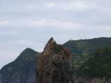 img0055.jpg