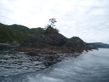 img0057.jpg
