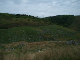 img0076.jpg