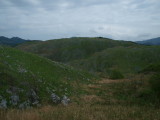 img0080.jpg