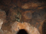 img0101.jpg