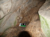 img0115.jpg