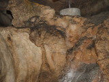 img0119.jpg