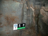 img0127.jpg