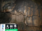 img0128.jpg