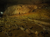 img0132.jpg