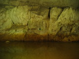 img0135.jpg