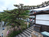 img0156.jpg