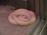 img0166.jpg