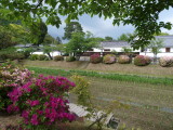img0169.jpg