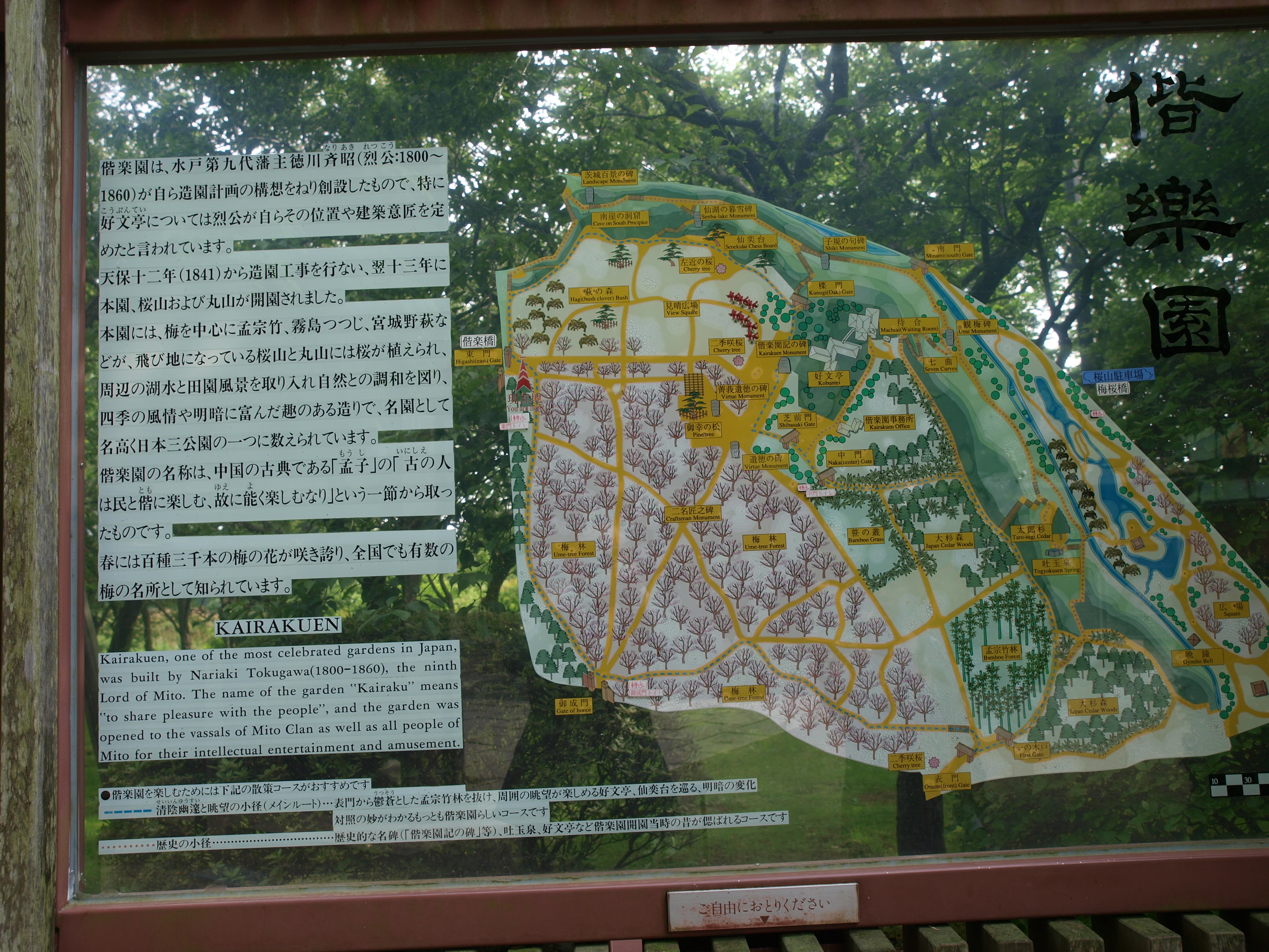 P6064053.JPG