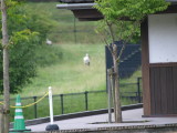 img0001.jpg