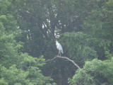 img0012.jpg