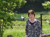 img0013.jpg