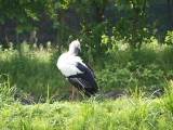 img0016.jpg