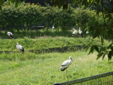 img0018.jpg