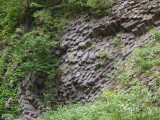 img0031.jpg