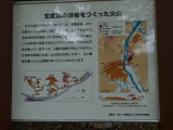 img0034.jpg
