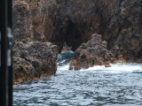 img0047.jpg