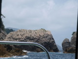 img0050.jpg