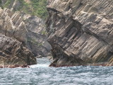 img0056.jpg