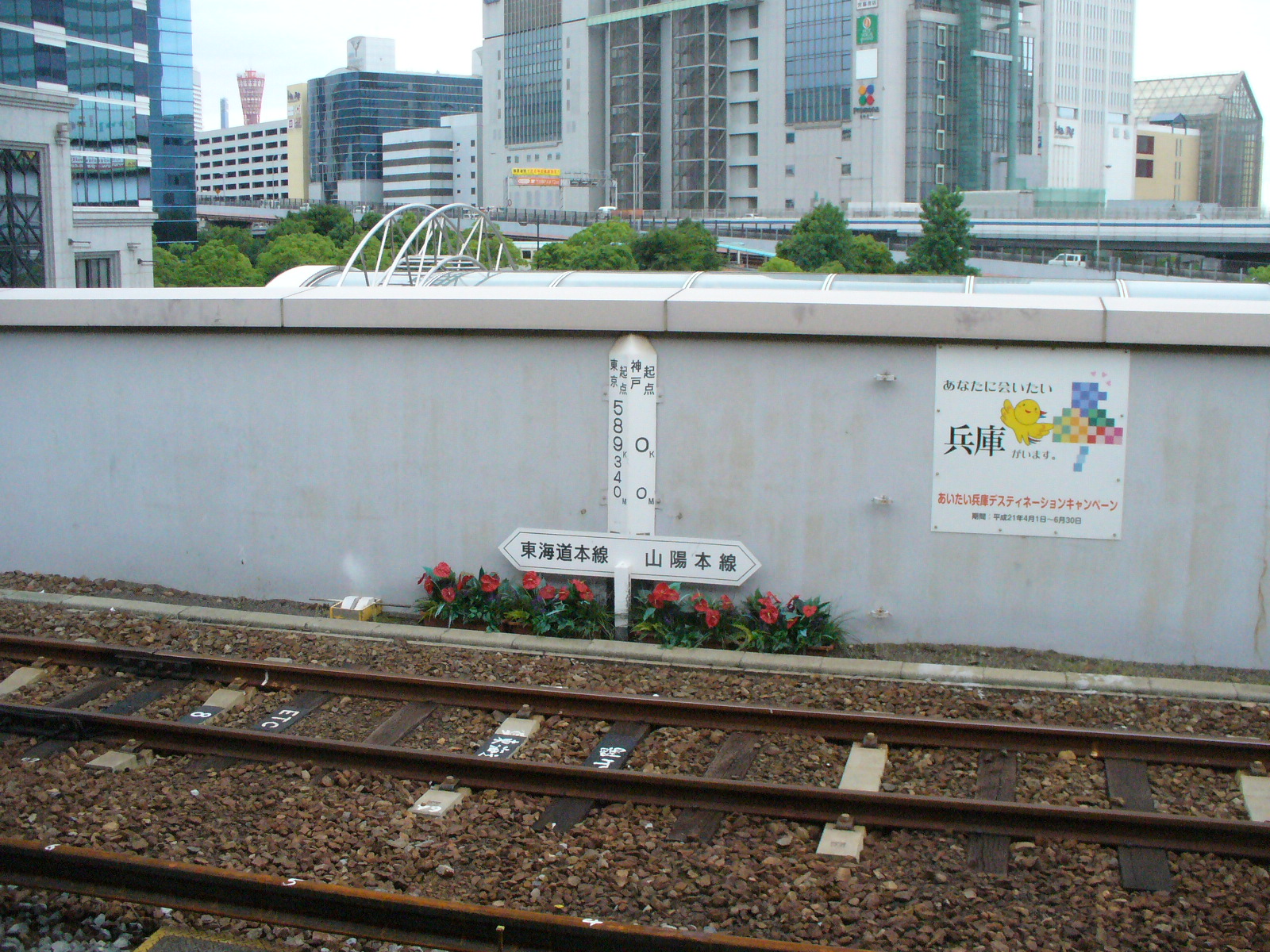 P1120318.JPG
