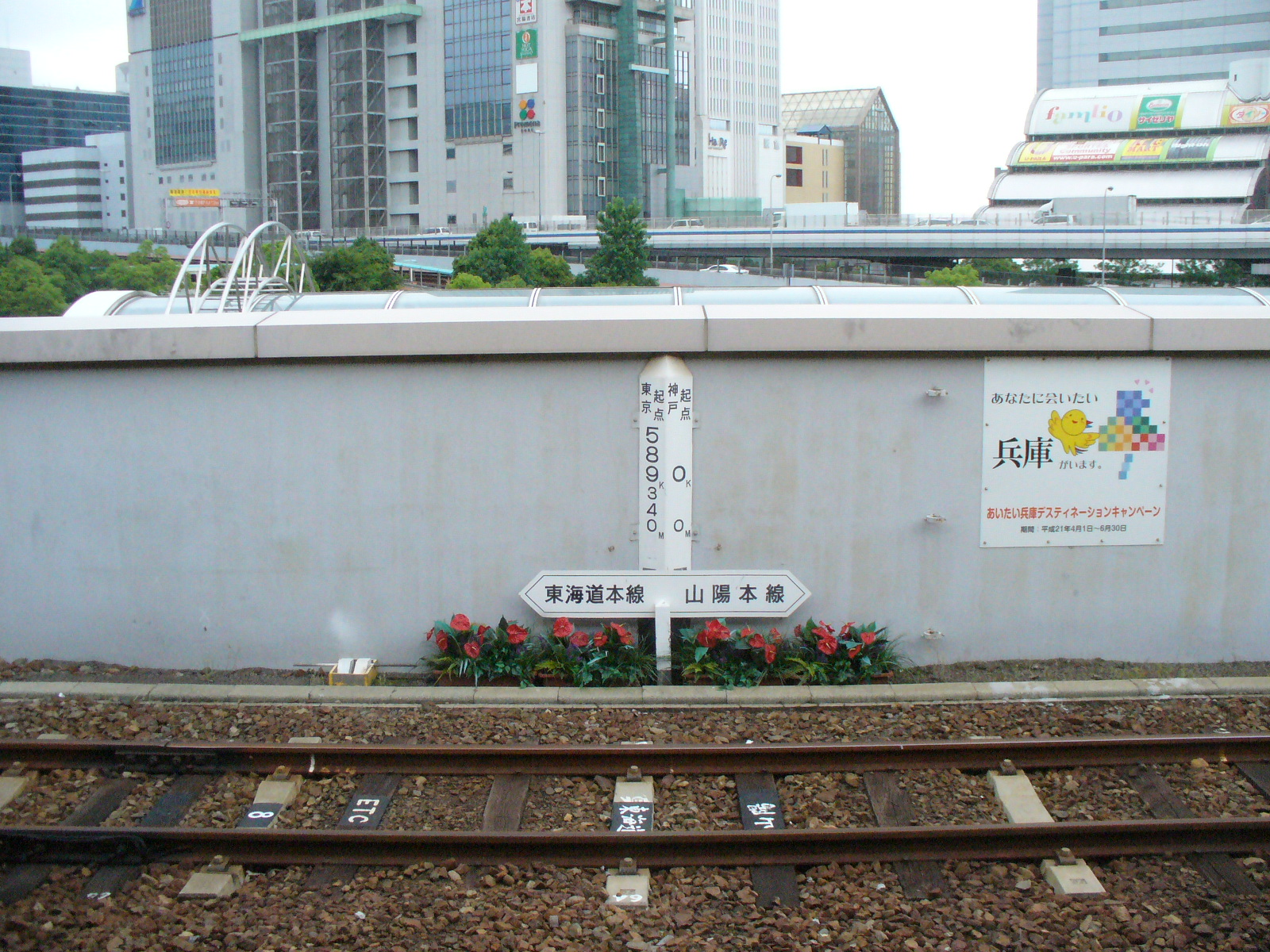 P1120322.JPG