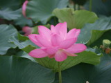 img0003.jpg